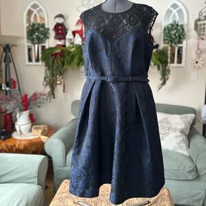City Chic Elegant Lace/Damask Black, Navy Dress